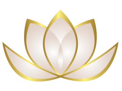 Wordpress Design, Development, Support, & Management